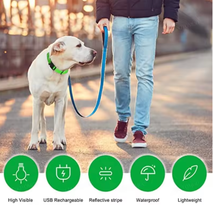 GlowTrail™ LED Dog Collar - USB Rechargeable