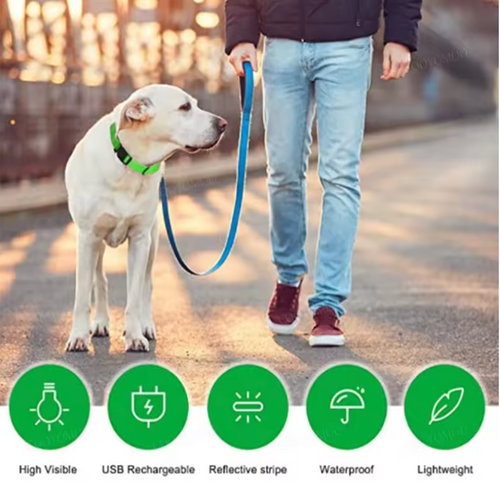 GlowTrail™ LED Dog Collar - USB Rechargeable