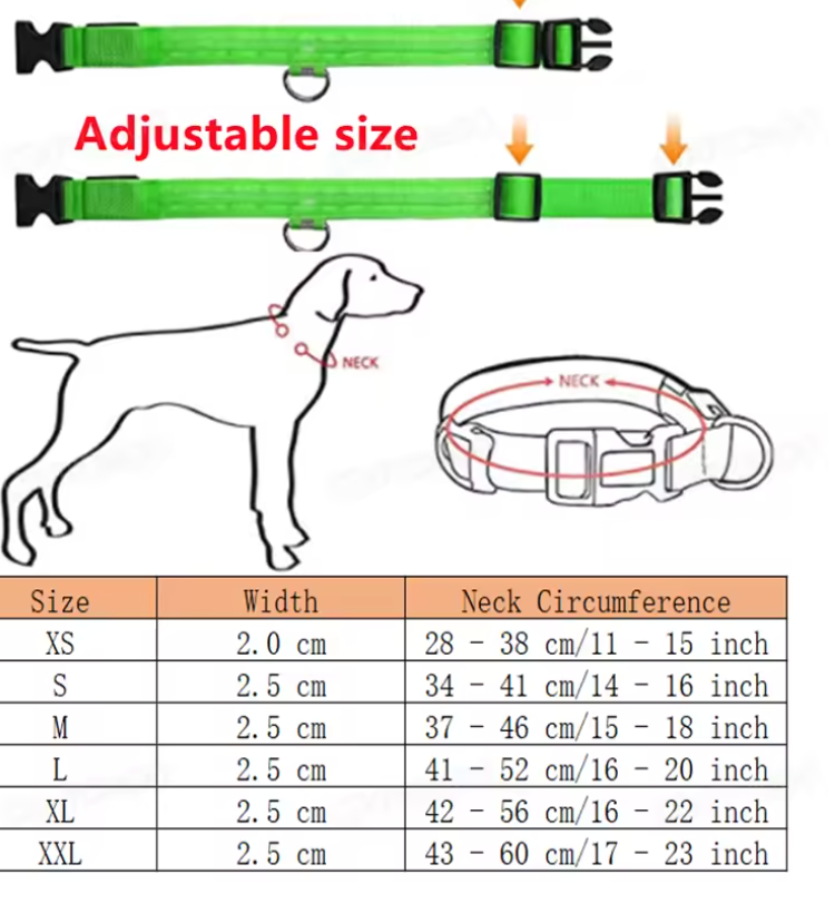 GlowTrail™ LED Dog Collar - USB Rechargeable