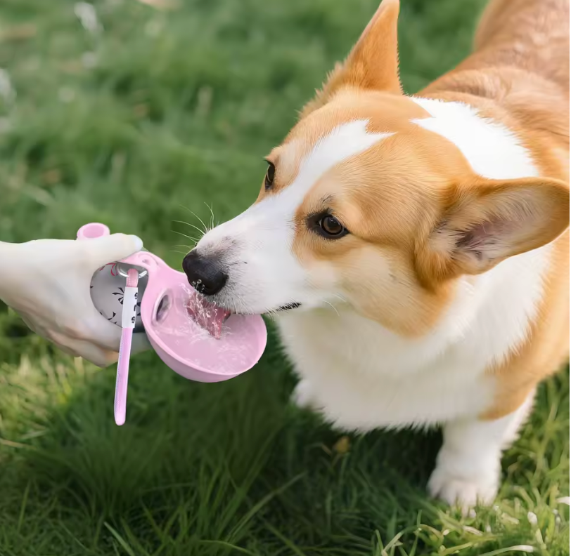 HydroPup™ 2-in-1 Portable Dog Water Bottle & Bowl