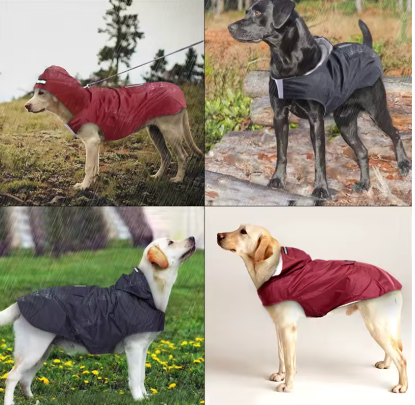 StormShield™ Waterproof Dog Raincoat with Reflective Trim