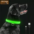 GlowTrail LED safety collar - product view