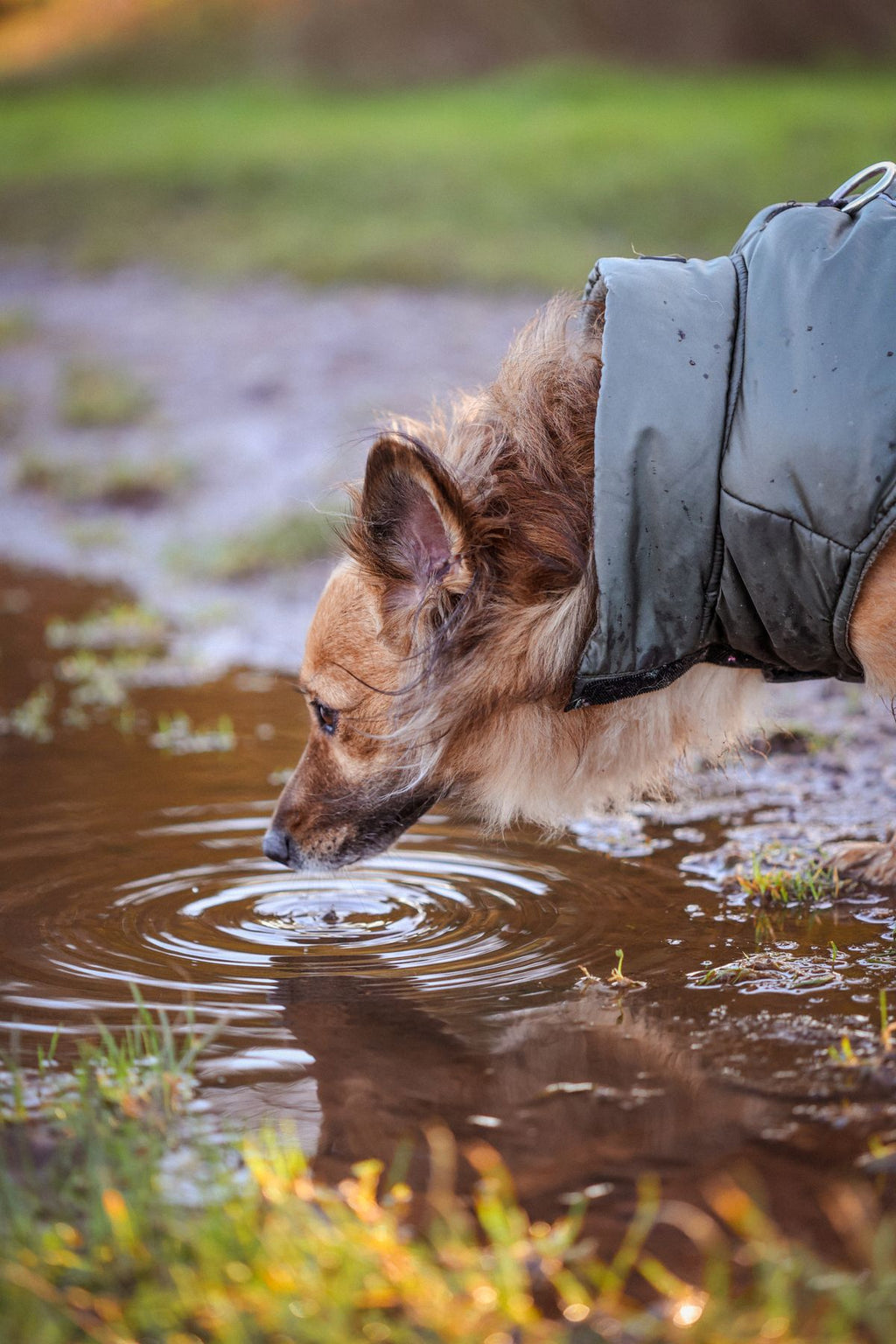 Safe Walk Kit